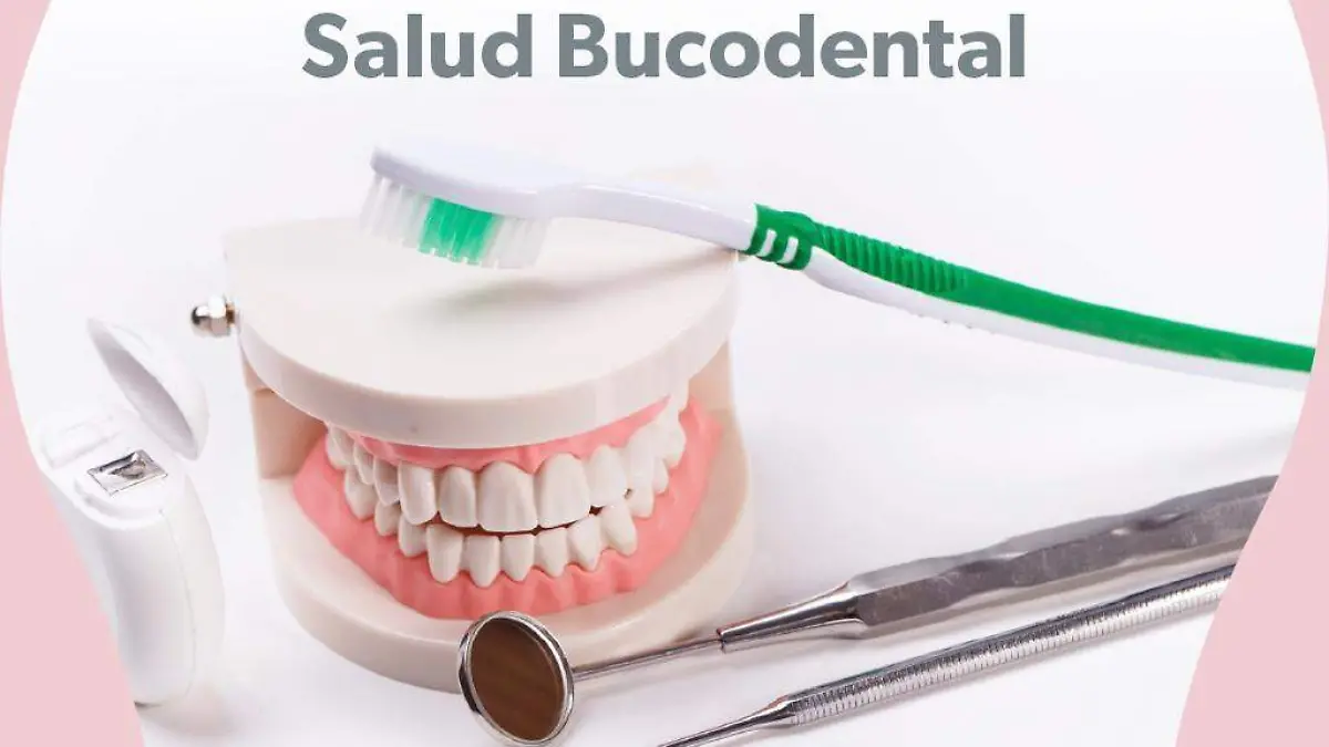 Salud Bucodental